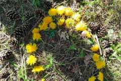IMG-20260407-WA0003