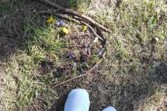 IMG-20260407-WA0004