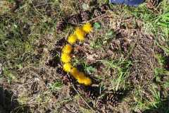 IMG-20260407-WA0005