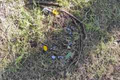 IMG-20260407-WA0006