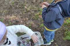 IMG-20260407-WA0013