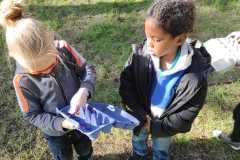 IMG-20260407-WA0014