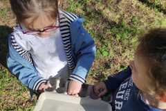 IMG-20260407-WA0016