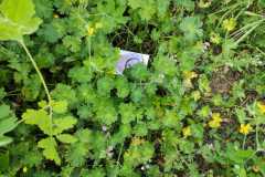 IMG-20260429-WA0003