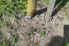 IMG-20260429-WA0008