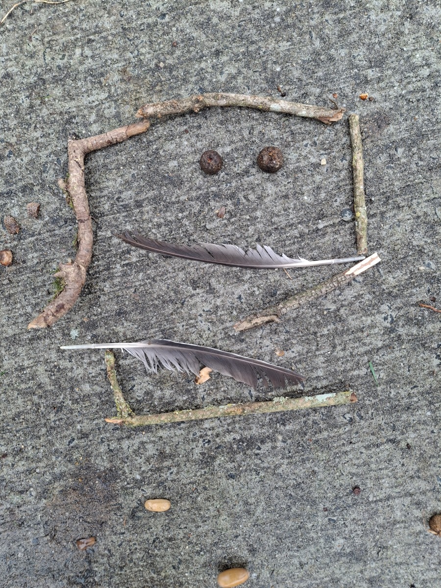 20261012_114200