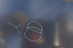 20251125_115105