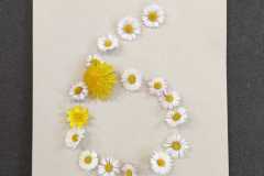 IMG-20260326-WA0014