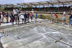 IMG-20250613-WA0005