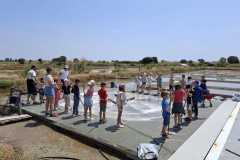 IMG-20250613-WA0006