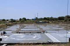 IMG-20250613-WA0011