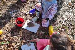 IMG-20260303-WA0006