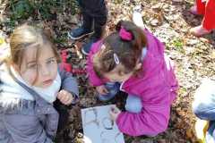 IMG-20260303-WA0008