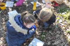 IMG-20260303-WA0009