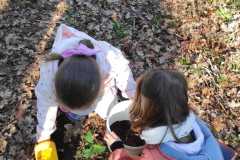 IMG-20260303-WA0012