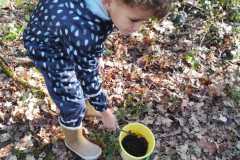 IMG-20260303-WA0013