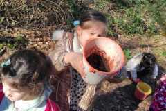 IMG-20260303-WA0014