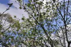 IMG-20260310-WA0000