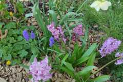 IMG-20260310-WA0001
