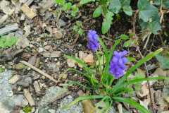 IMG-20260310-WA0002