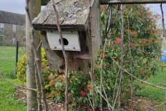 IMG-20260310-WA0004