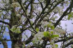 IMG-20260310-WA0005
