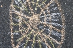 20260512_115644